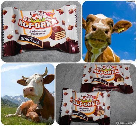 Конфеты Рот Фронт Коровка вафельная - «Бюджетная, а главное - вкусная ...