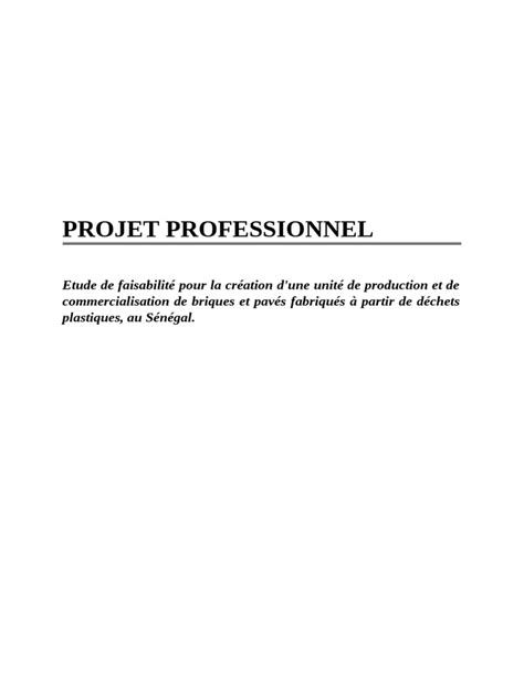 Mémoire Projet Professionnel Pdf