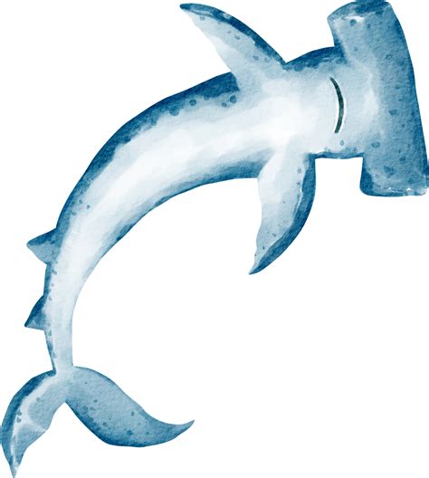 Watercolor Shark Sea Animal 16532582 Png