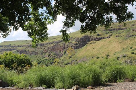 Gamla Nature Reserve - Expats Travel Together!