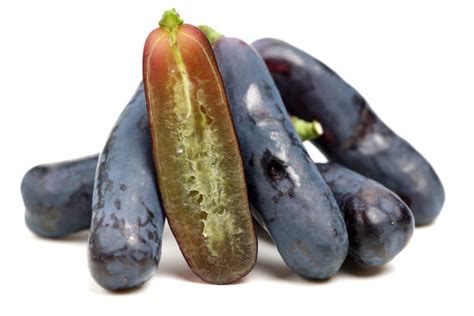 70+ Witches Fingers Grapes Stock Photos, Pictures & Royalty-Free Images ...