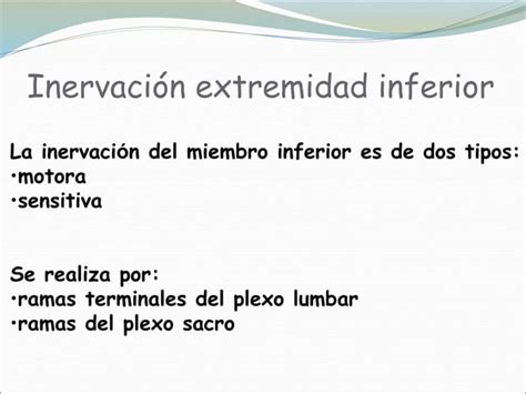 Inervacionextremidadinferior2012 2013ppt