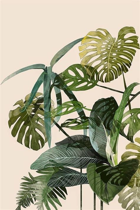 Inspiration I Love Illustrations Botanical Biophilia Plants