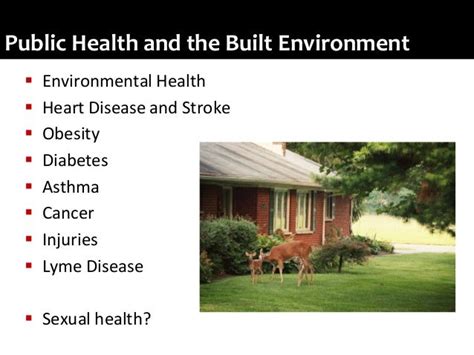 Built environment and health 