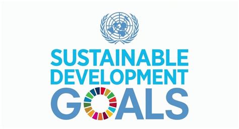 Why Do The Sdgs Matter To Business Thrive