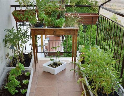 8 Balcony Herb Garden Ideas You Would Like to Try