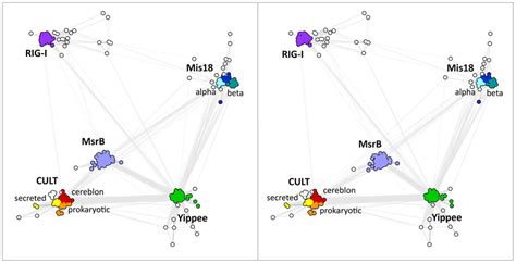 Cluster Map Of Cult Domain Homologs The Image Is A Cross Eyed Stereo