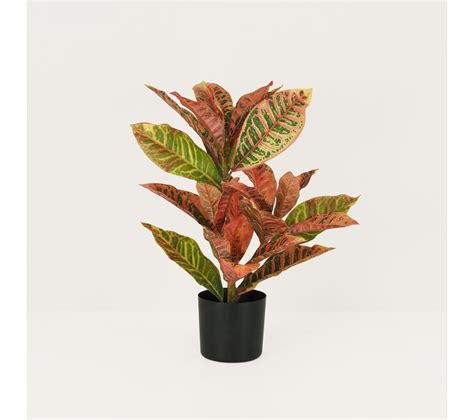 Croton Artificiel Rouge Cm Plante Artificielle Et Mini Serre But