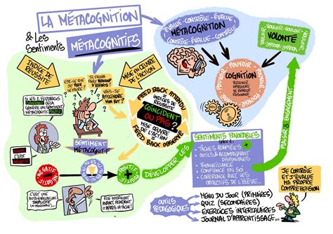 Csen Les Enjeux De La Métacognition à Lécole Innovation