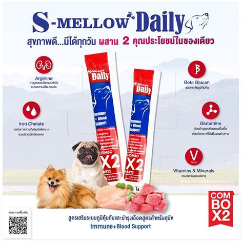 S mellow Daily For Cat อาหารเสรมในรปแบบขนมแมวเลย ขนมสนขเลย แบบ1