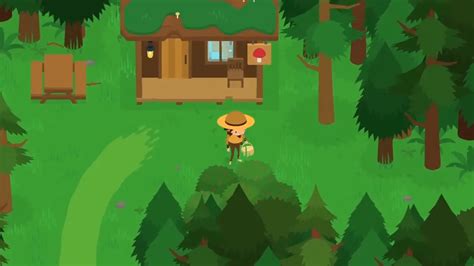 Where To Find The Mushroom Hunter In Sneaky Sasquatch Walkthrough