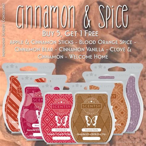 Love Falllove Cinnamon And Spice 🧡 Create Your Own Six Pack Of Scentsy Bars Buy 5 Get One