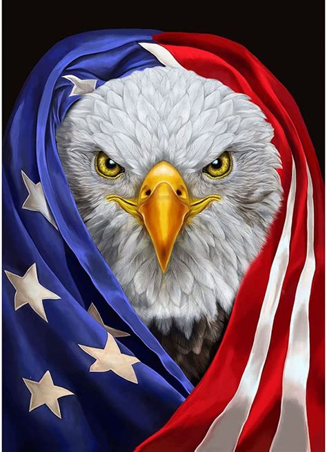 Diamond Painting-5D Full Round Drill Flag Eagle | Diamond painting, Painting kits, American flag ...