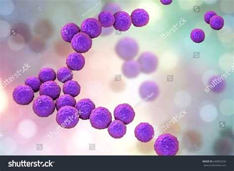 Bacteria Enterococcus 3d Illustration Gram Positive Cocci Stock