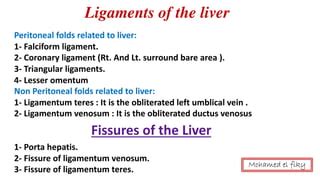 anatomy of Liver and biliary system | PPT