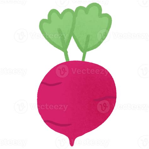 Red Radish Cartoon Illustration Png