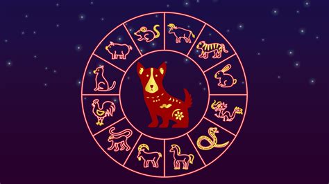 Year of the Dog 2023 Horoscope: Understanding Chinese Zodiac | Daily Horoscope and Tarot Reading