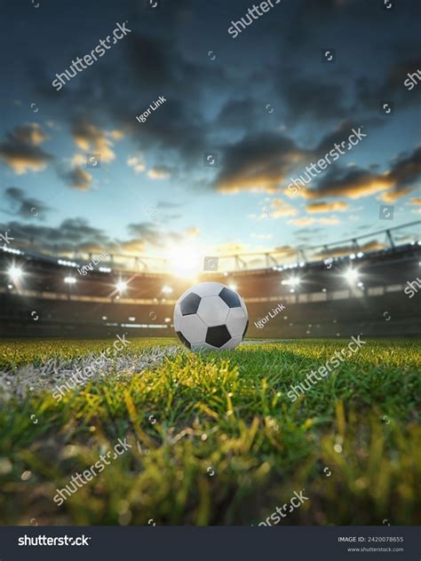 Ball On Green Field Soccer Stadium Stock Photo Shutterstock