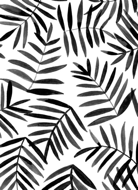 Plant Drawing Black And White at GetDrawings | Free download