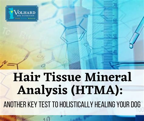 Hair Tissue Mineral Analysis Htma Another Key Test To Holistically