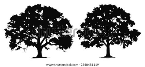 Silhouette Set Oak Tree Stock Vector (Royalty Free) 2340481119 ...