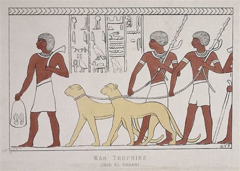 Why Were Dogs Important In Ancient Egypt