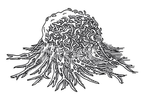 cancer cell tumor macro drawing stock photo royalty  freeimages