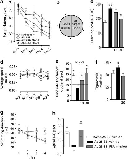 Neuroprotective Effect Of Palmitoylethanolamide Pea On Amyloid β