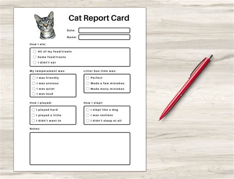 Pet Report Card Printable For Pet Sitter Business Cat Report Etsy