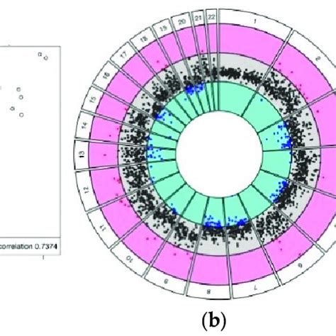 Chromosome Based Circos Plots Mean Logfc Values For Cpg Methylation