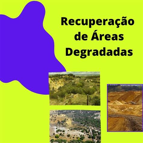 Recupera O De Rea Degradada Eco Florestal Consultoria Ambiental