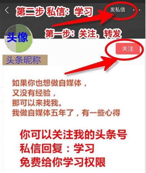 自媒體是如何盈利的？自媒體賺錢套路大全！「送免費乾貨教程」 每日頭條