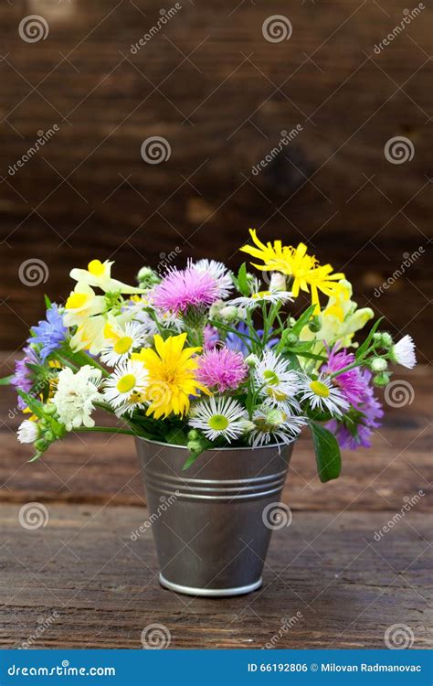 Bouquet of Colorful Meadow Flowers Stock Photo - Image of fragility ...