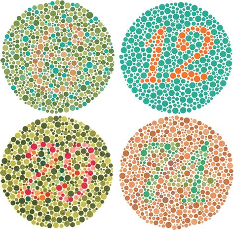 Looking for color blind humans to test a new bot : r/ColorBlind