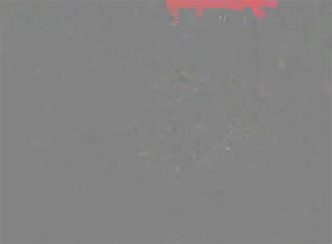 Cam Girl Anal Speculum By M D F