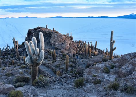 Salt Lake Of Uyuni South America Tourism Office