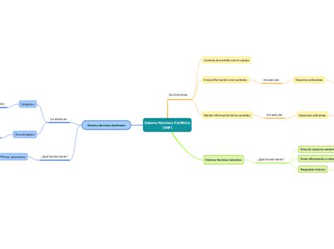 Sistema Nervioso Perif Rico Snp Mind Map