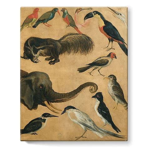 Etude d animaux toiles sur châssis Boutiques de Musées