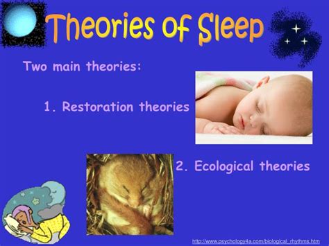 Ppt Theories Of Sleep Powerpoint Presentation Free Download Id 632301