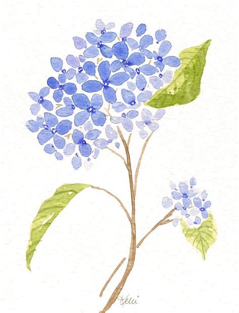 Blue Hydrangea Flower Original Watercolor Painting Botanical Floral Art