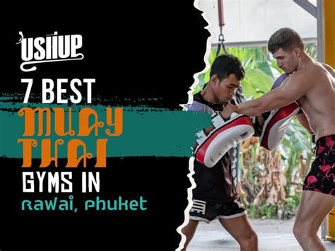 Best Muay Thai Gyms In Rawai Phuket Ushup