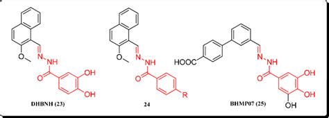 Chemical Structures Of N Acyl Hydrazones Download Scientific Diagram