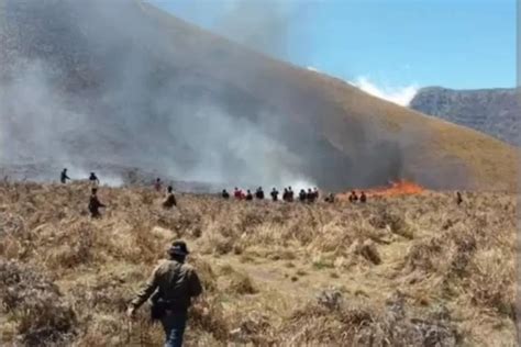 Kebakaran Gunung Bromo Ternyata Dampak Menggunakan Flare dalam Foto ...