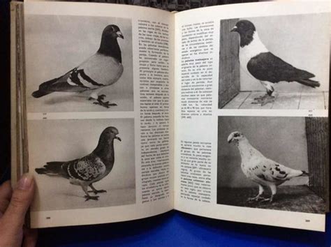 Gran Enciclopedia Ilustrada De Las Aves J Hanzak Fotos Cuotas