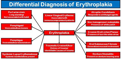 Erythroplakia Histopathology