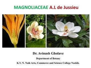 Family Magnoliaceae | PPT