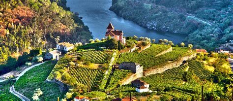 La Vall E Du Douro L Heure Des Vendanges