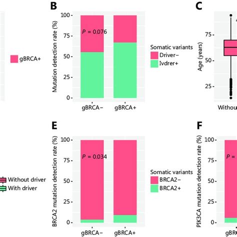 Mutational Profile Of The Patients With Germline And Somatic Mutations