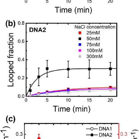 Dna Looping Induced By High Concentration Of Salt M Nacl