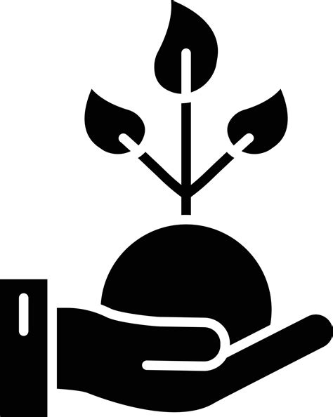 how to replant grapes 7